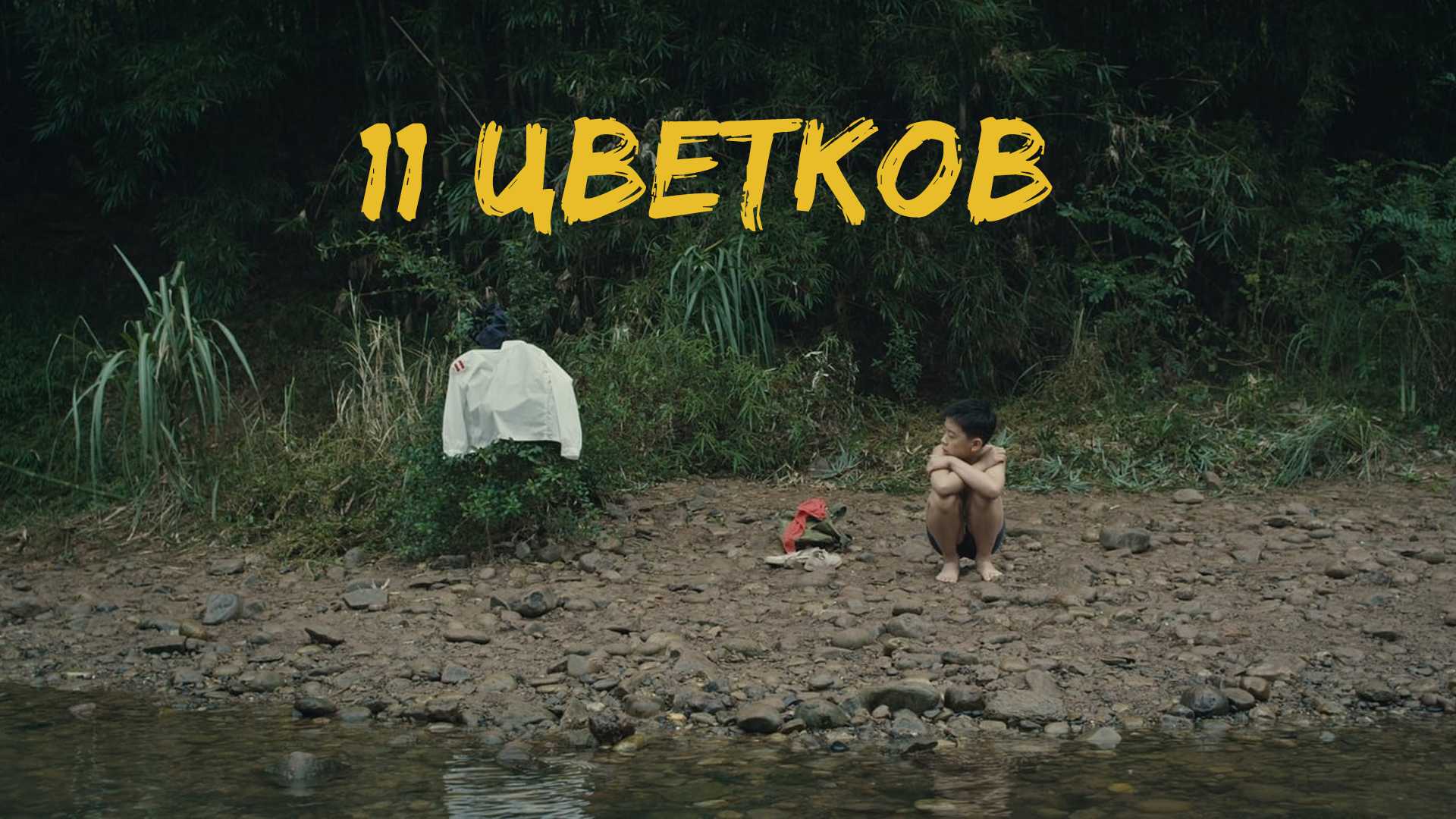 11 цветков