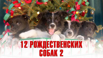 12 рождественских собак 2