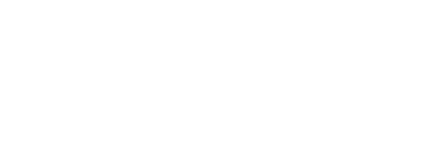 Яблоки 41 года