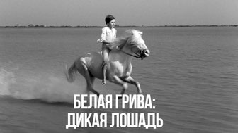 Белая грива: Дикая лошадь