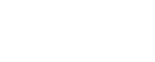 Без особых примет