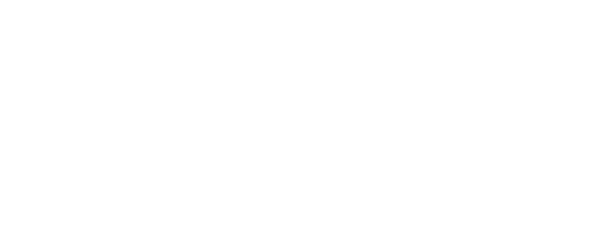 Бостонский душитель