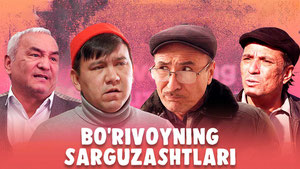 Bo'rivoyning sarguzashtlari
