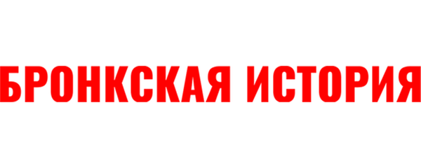 Бронкская история