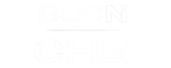 BUDNI — Сны