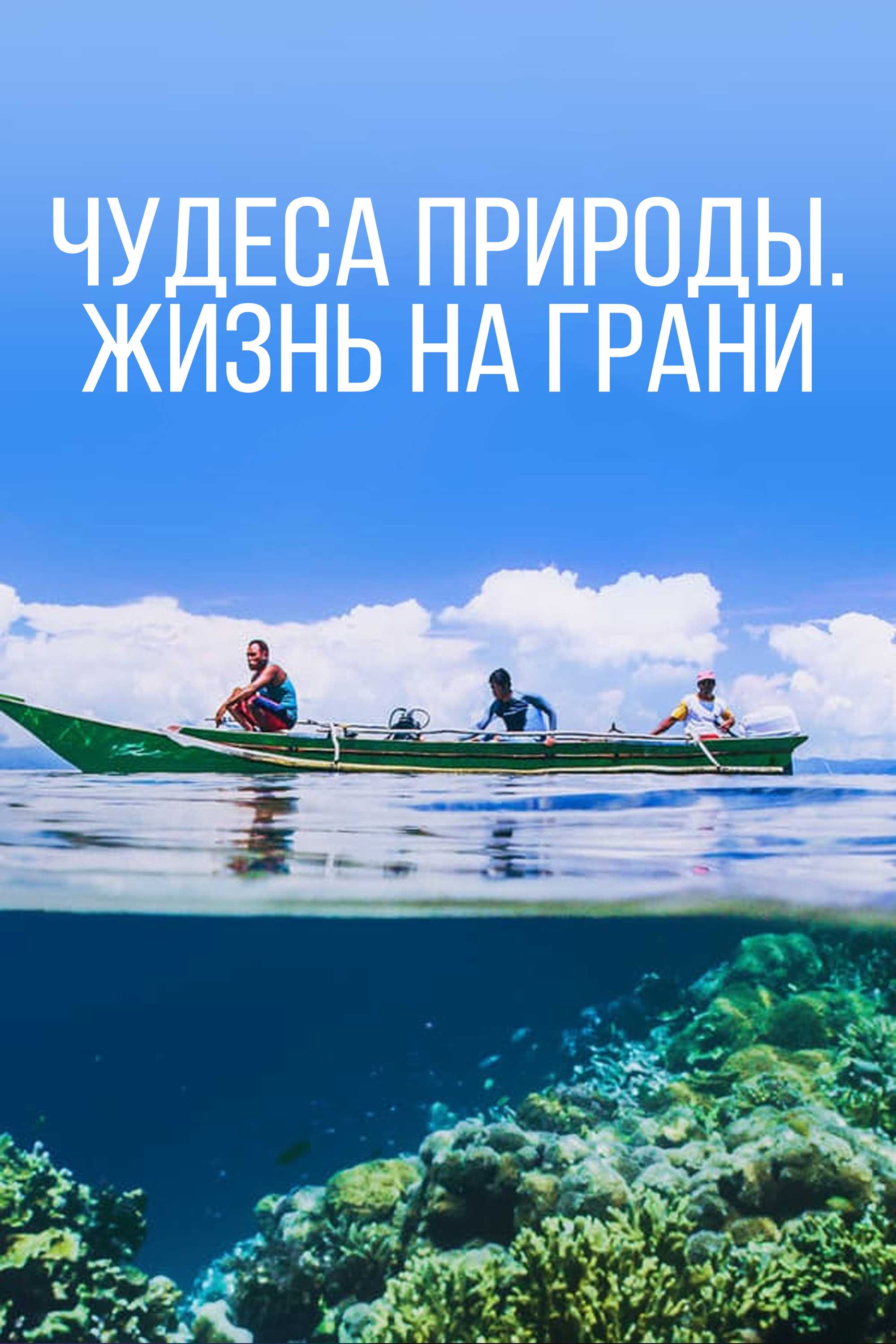 Чудеса природы. Жизнь на грани