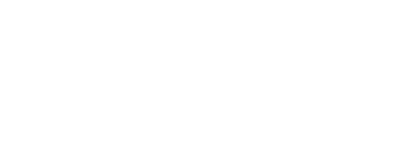 Чёрный медведь