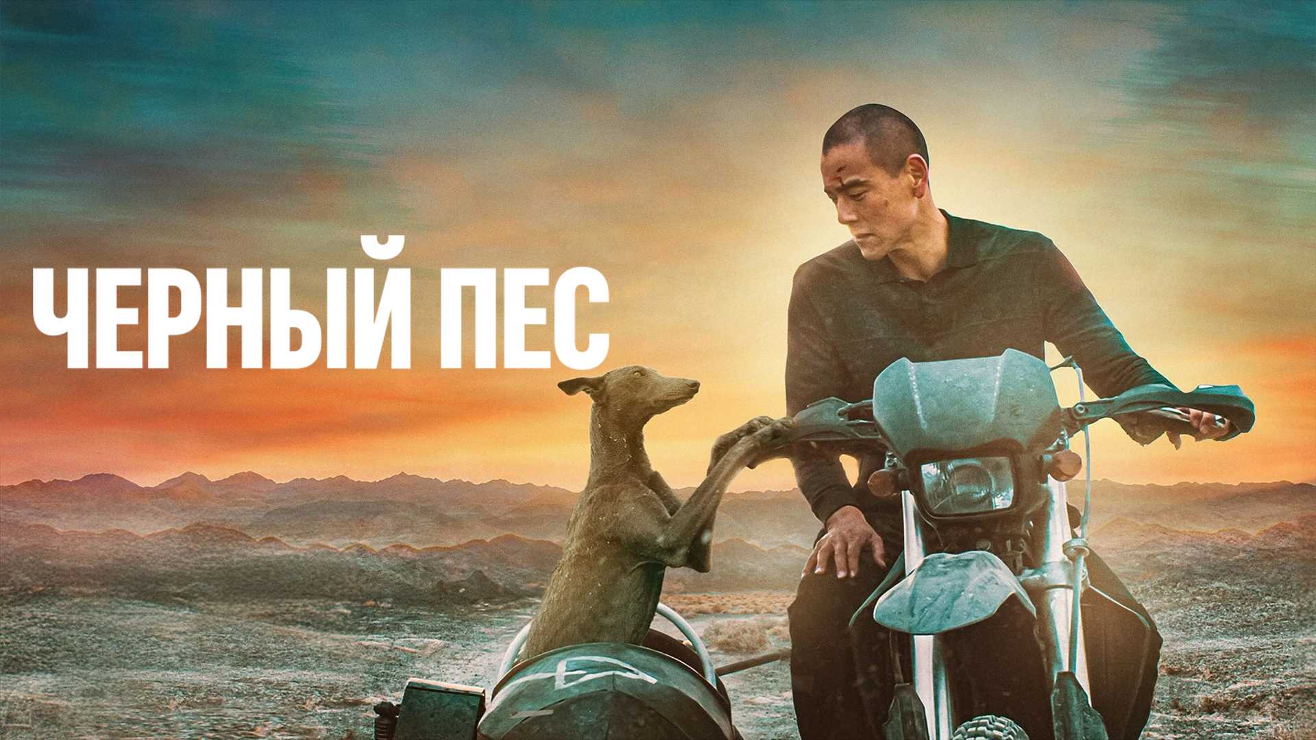 Чёрный пёс
