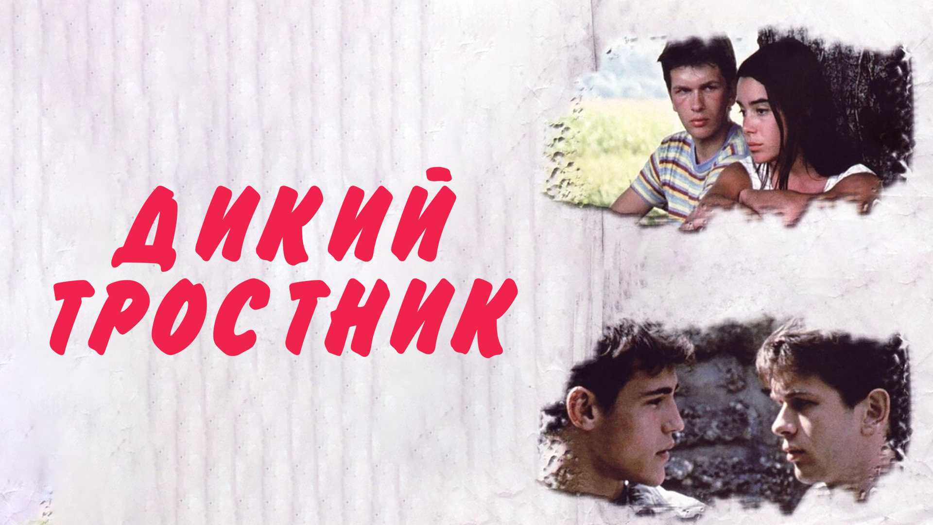 Дикий тростник