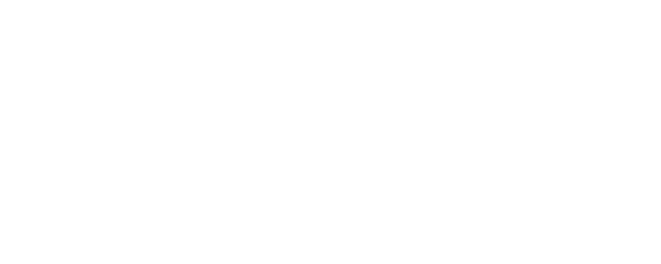 Дневная смена