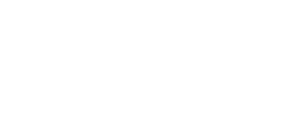 Дневник воспоминаний