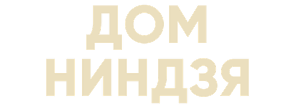 Дом ниндзя