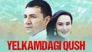 Yelkamdagi qush
