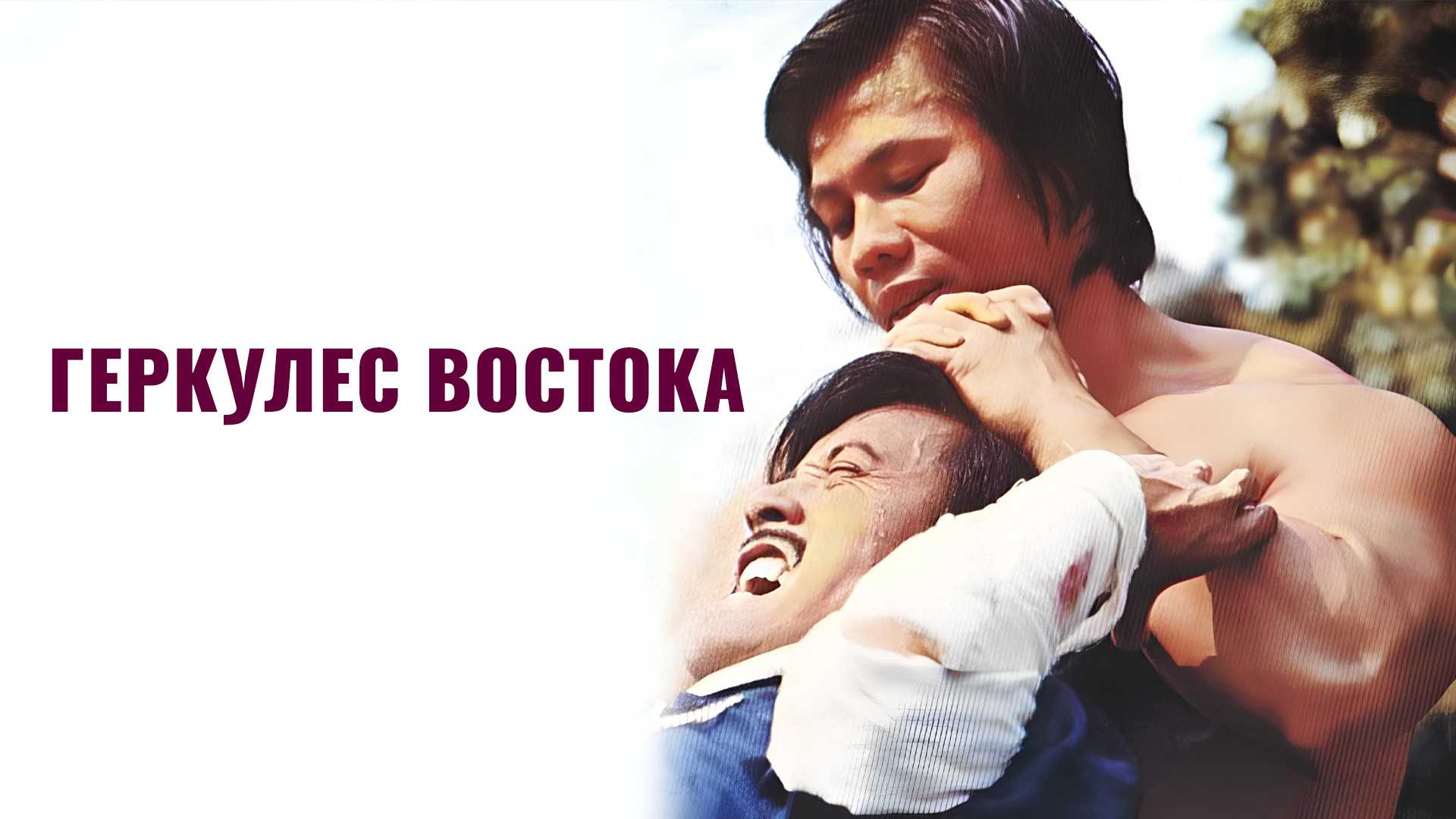 Геркулес востока