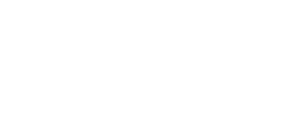 Гранит науки