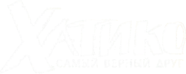 Хатико: Самый верный друг