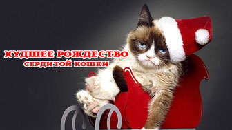 Худшее Рождество Сердитой кошки