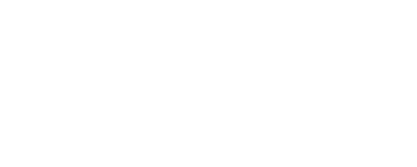 История о супружестве