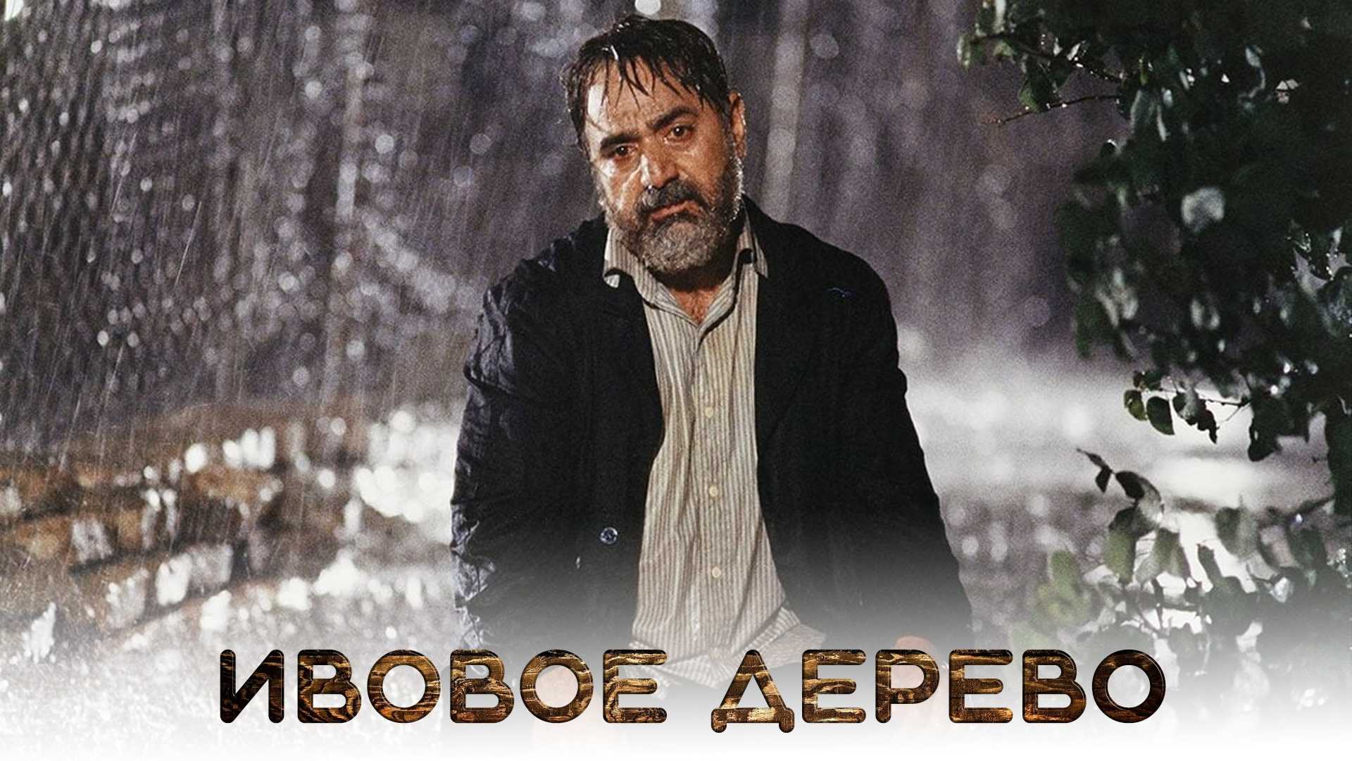 Ивовое дерево