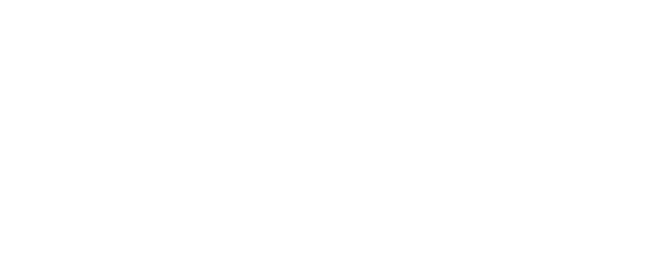 Из моего окна: Новая встреча