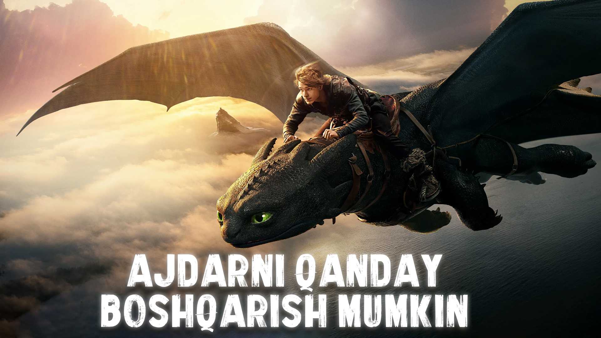Ajdarni qanday boshqarish mumkin