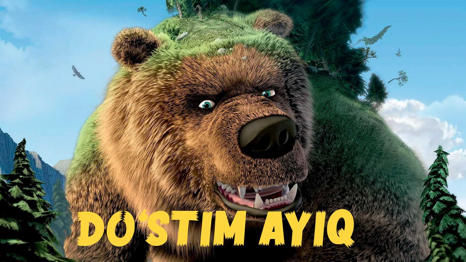 Dostim ayiq