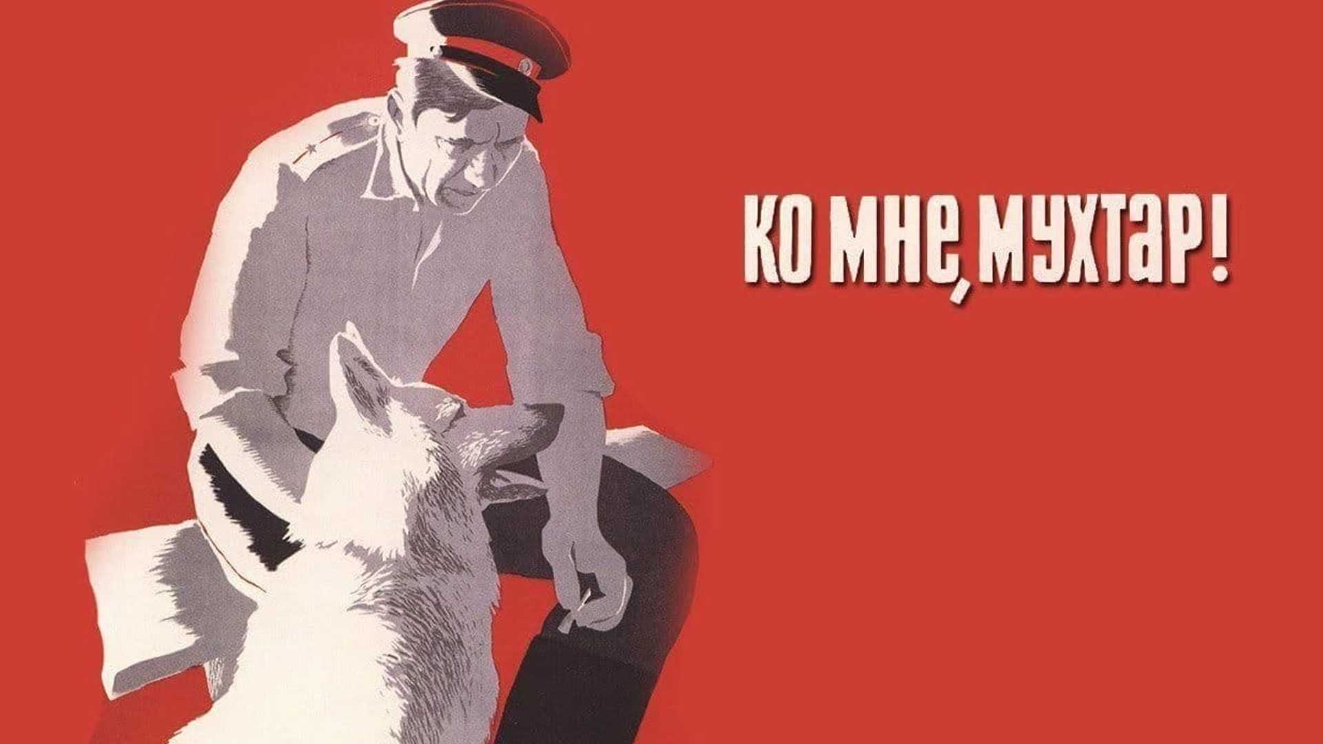 Ко мне, Мухтар!