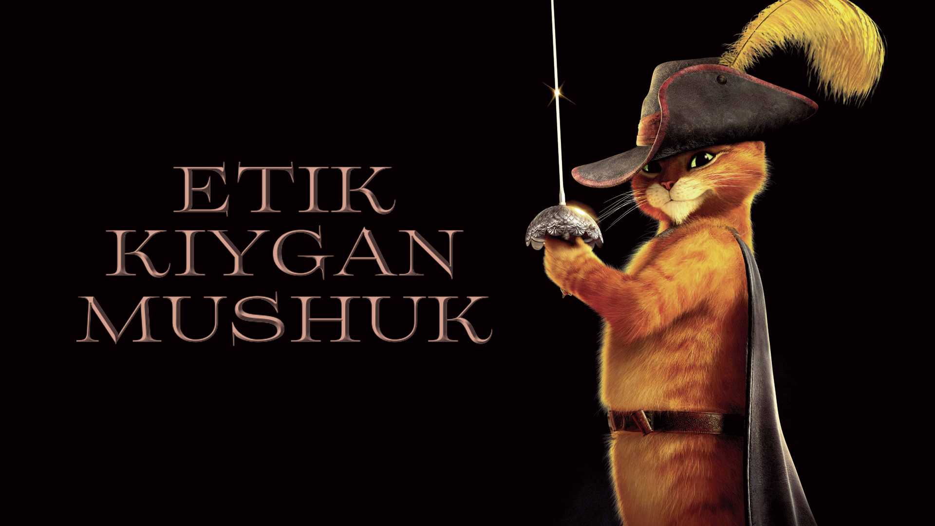 Etik kiygan mushuk