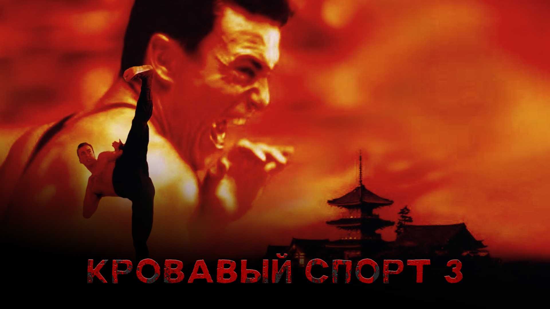 Кровавый спорт 3