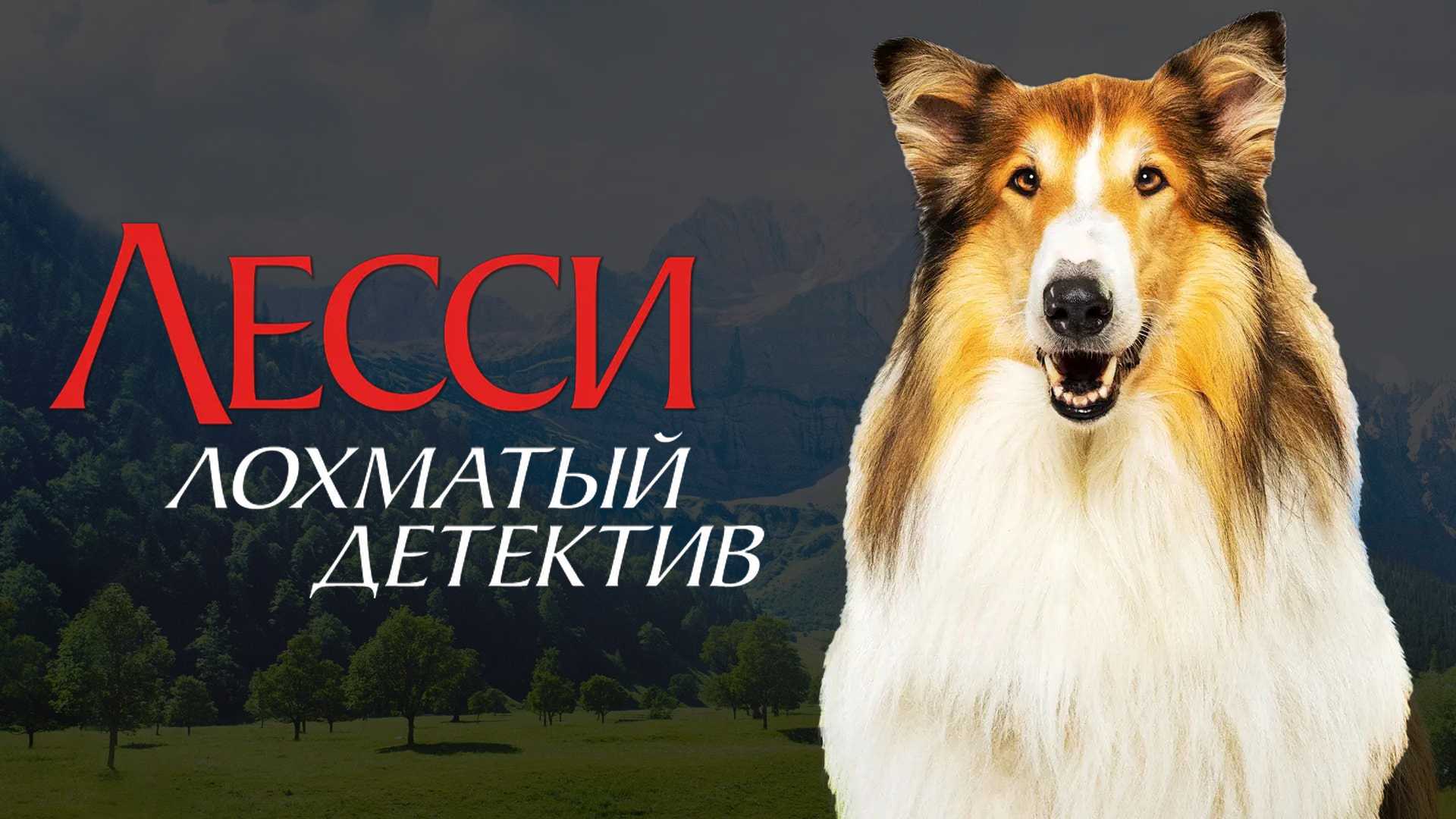 Лесси — лохматый детектив