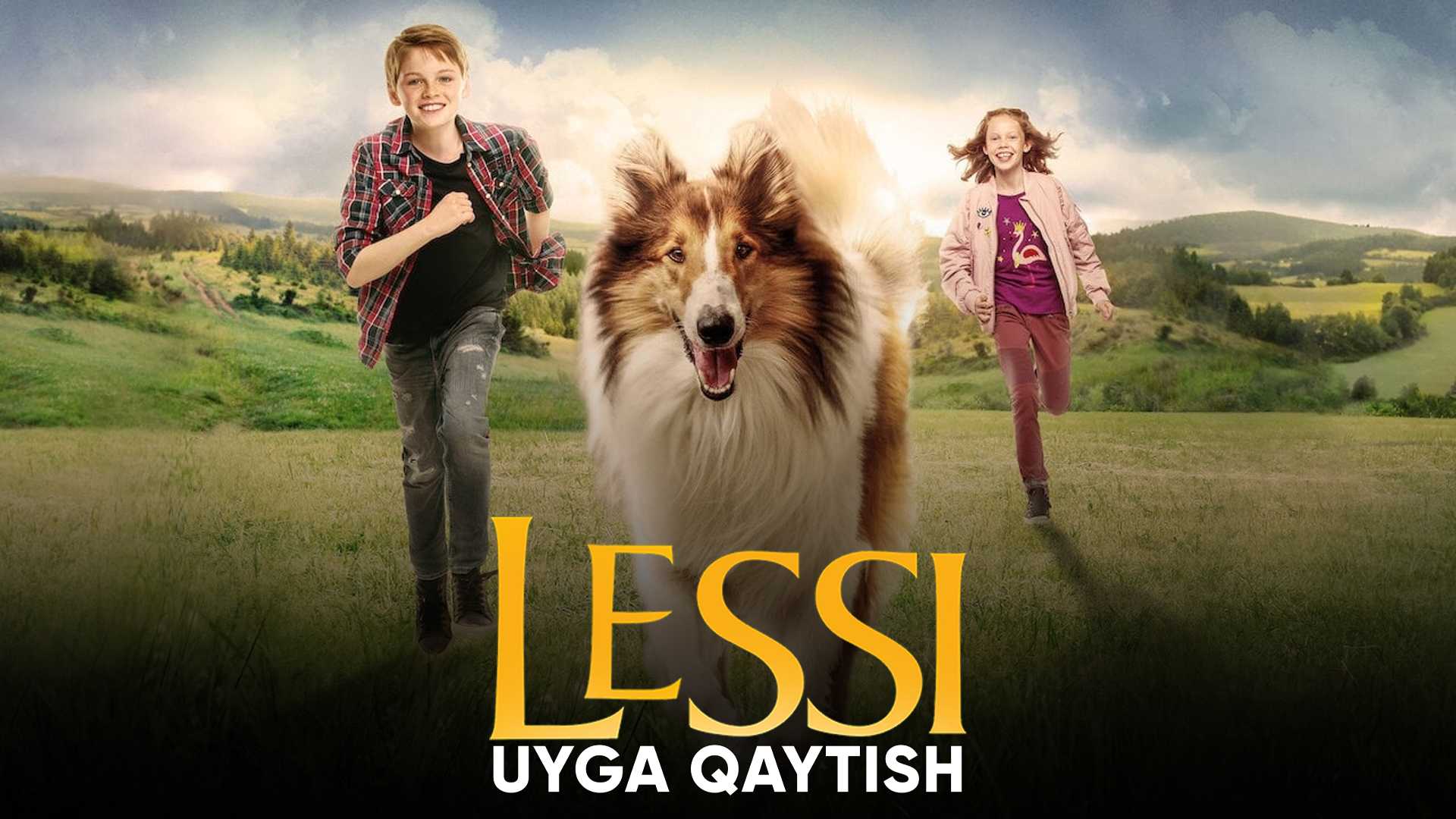 Lessi: Uyga qaytish