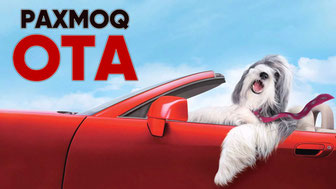 Лохматый папа