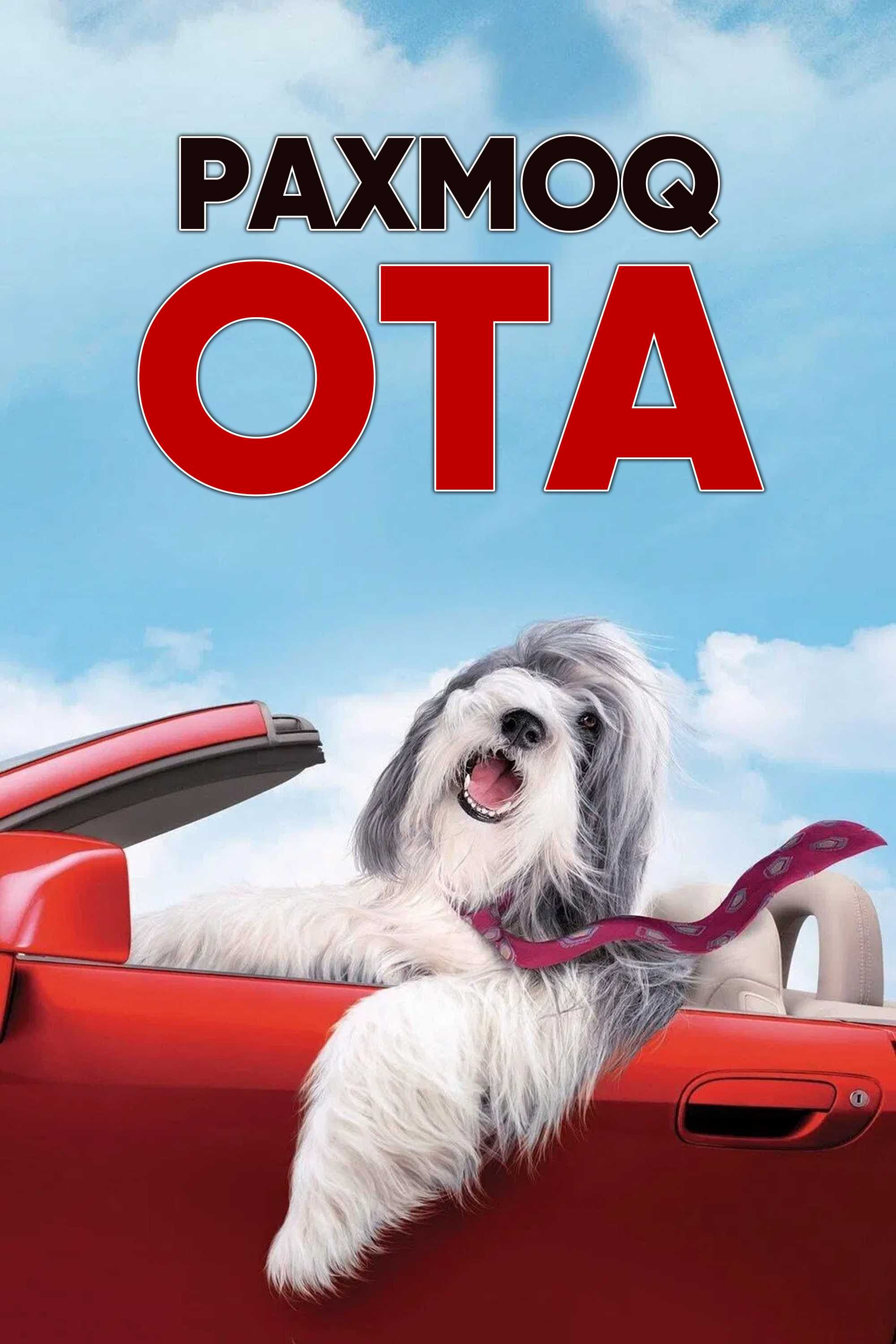 Лохматый папа