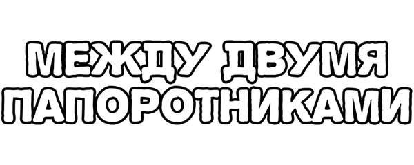 Между двумя папоротниками