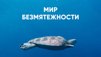 Мир безмятежности