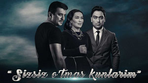 Sizsiz o'tmas kunlarim
