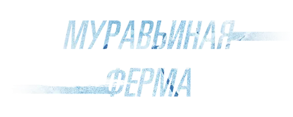 Муравьиная ферма