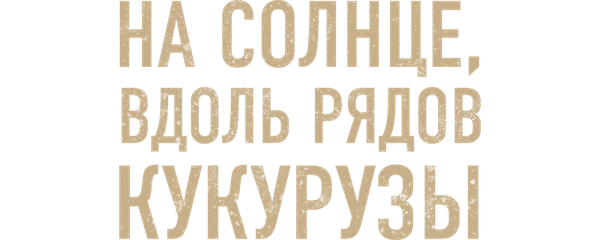 На солнце, вдоль рядов кукурузы