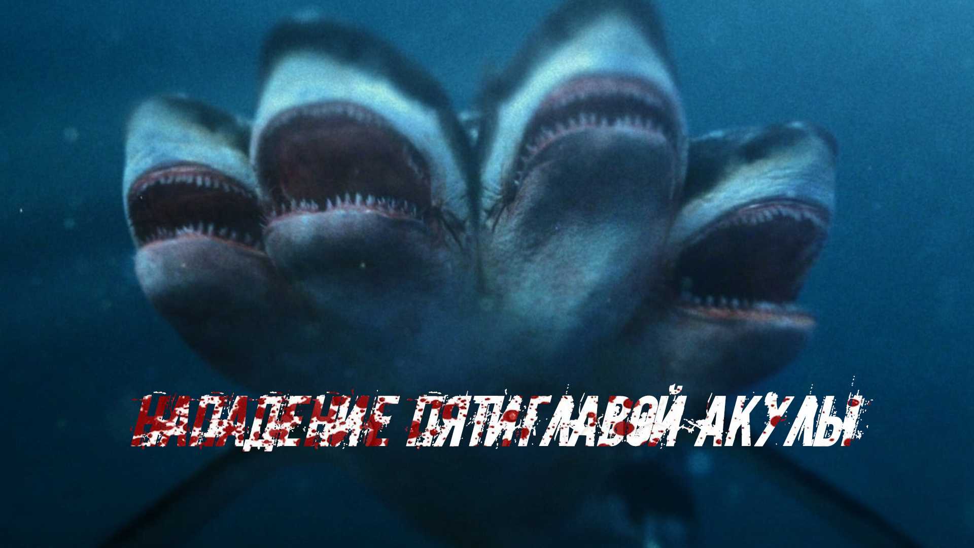 Нападение пятиглавой акулы