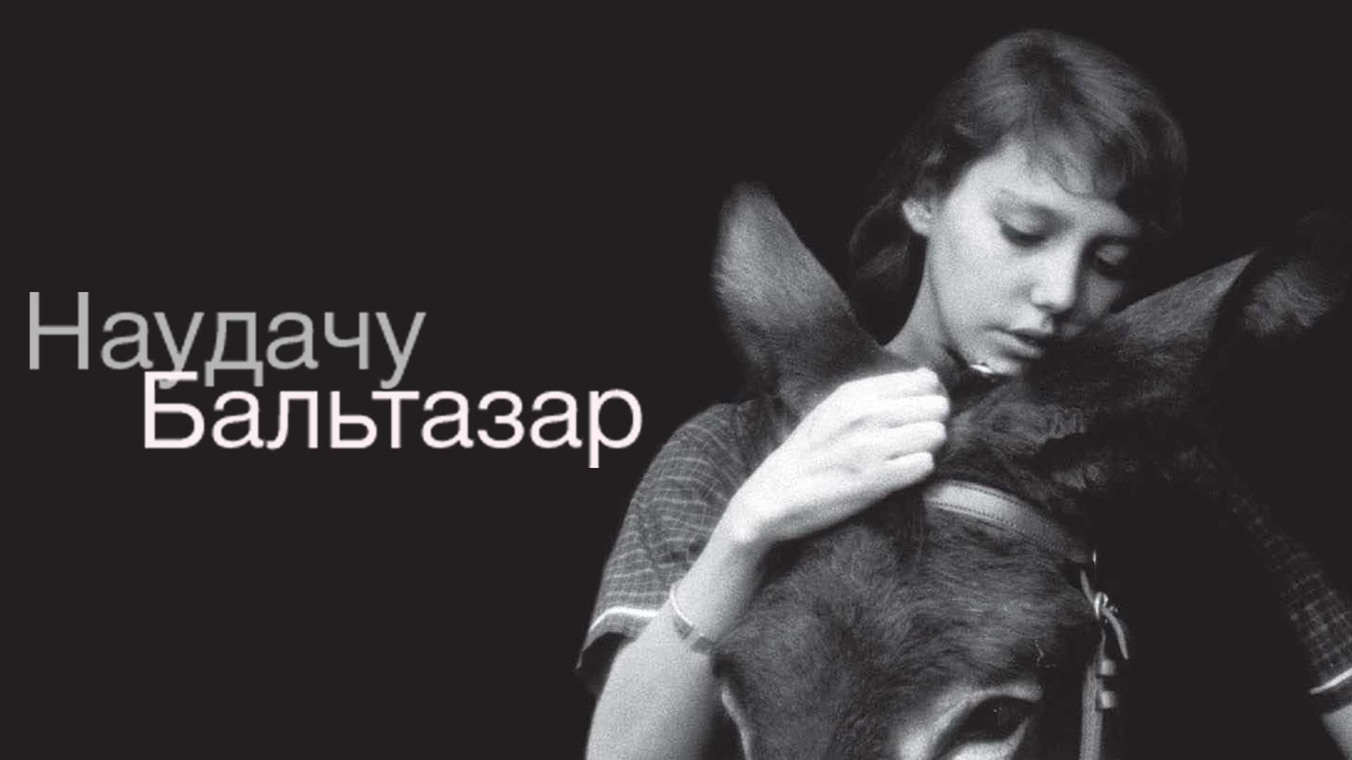 Наудачу, Бальтазар