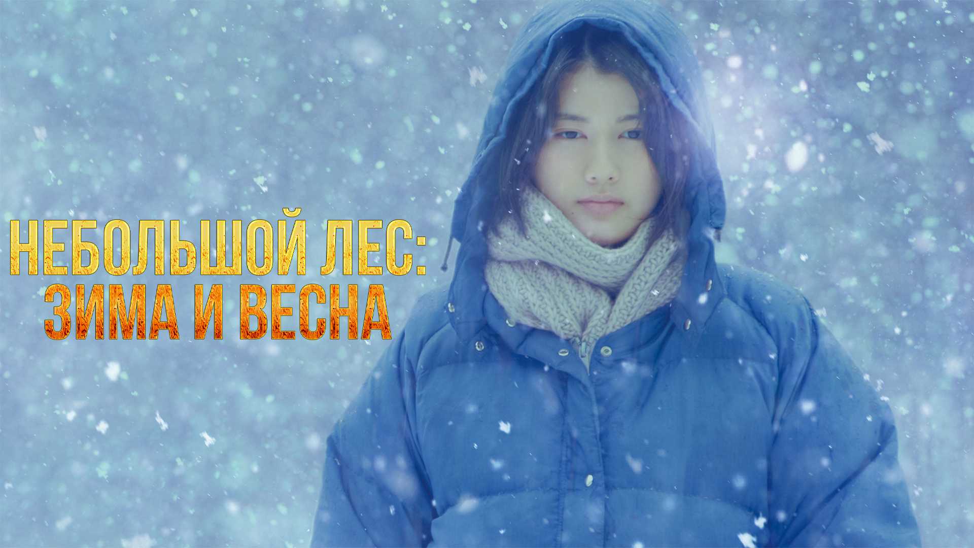 Небольшой лес: Зима и весна