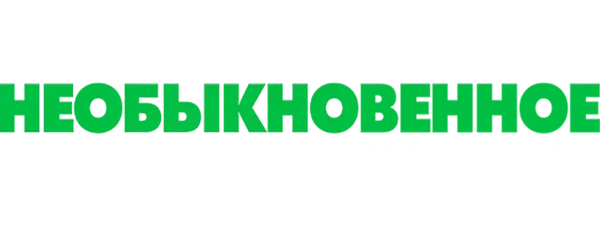 Необыкновенное Рождество Зои