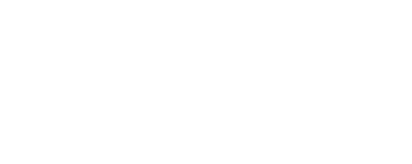 Ночной дозор