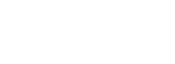 Новичок