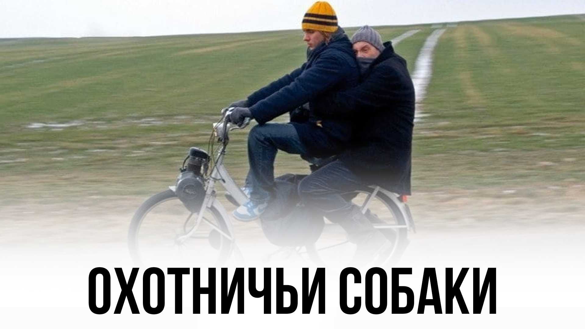 Охотничьи собаки