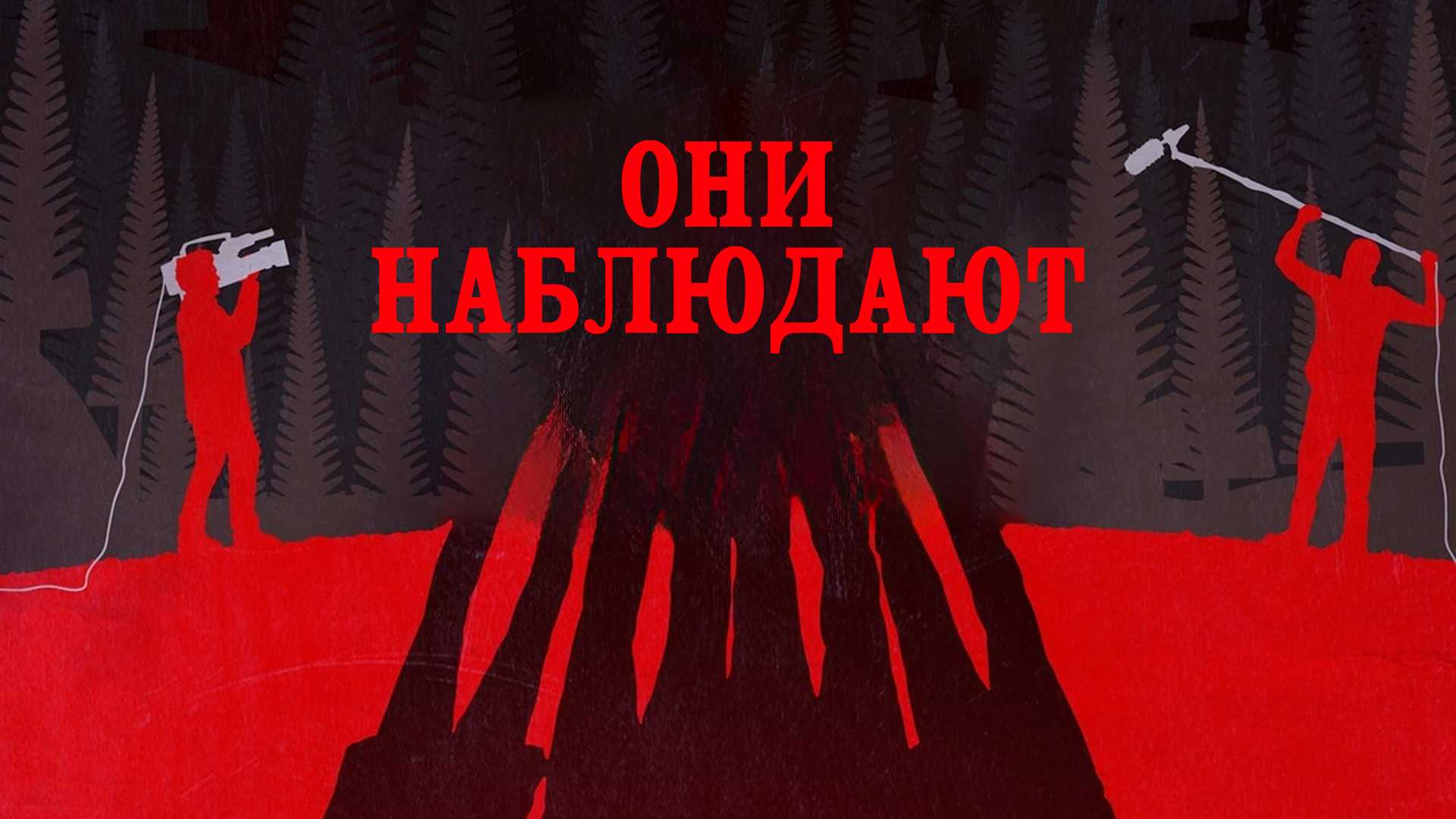 Они наблюдают