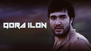 Qora ilon