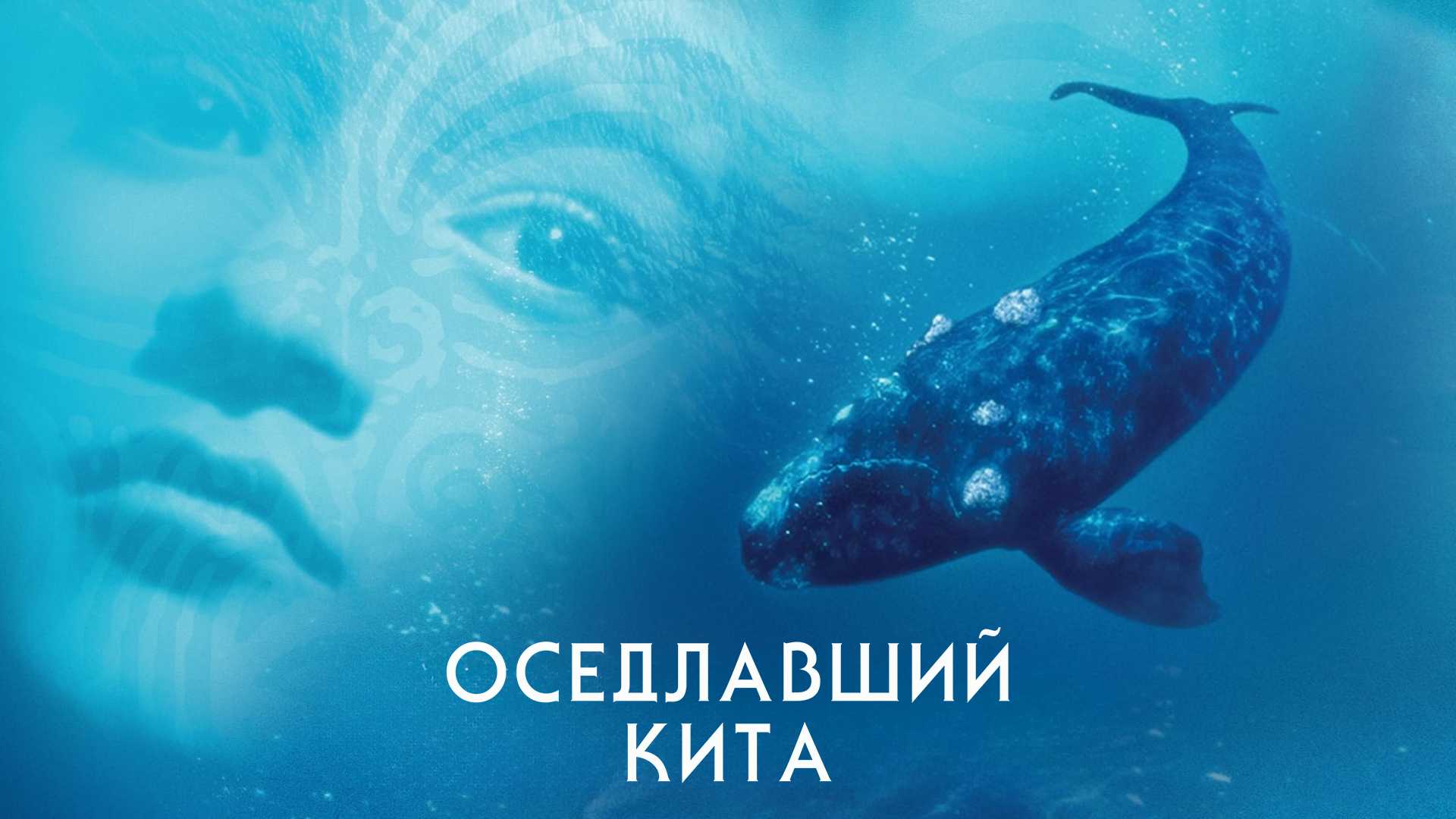 Оседлавший кита