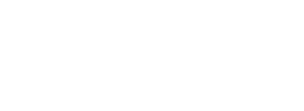 Особо опасный пассажир