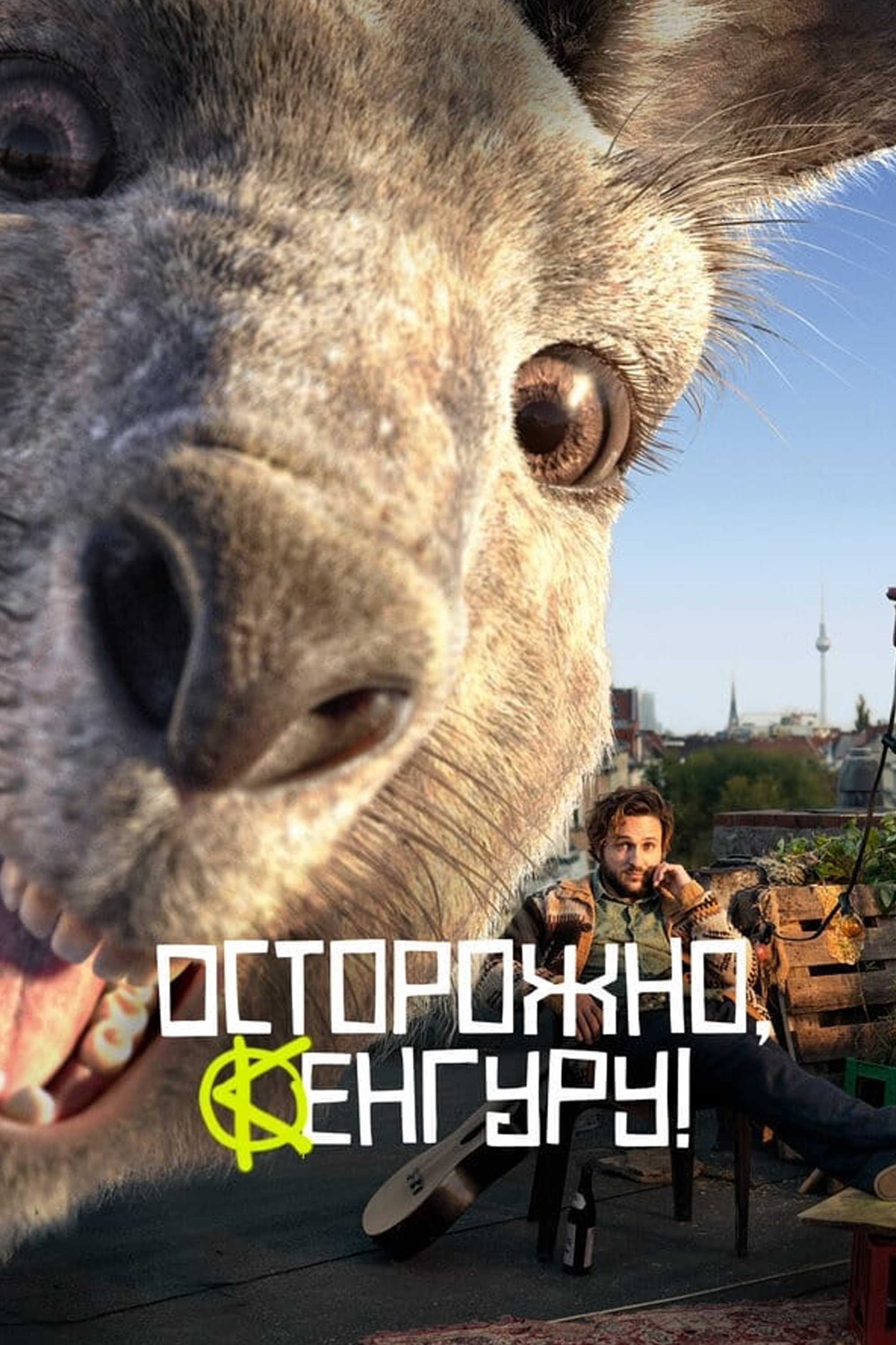 Осторожно, Кенгуру!